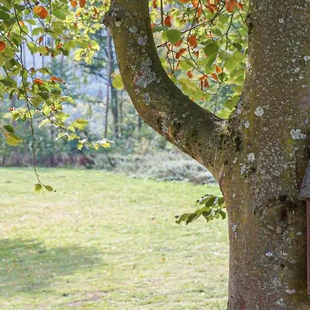 8 In بيت للعطل