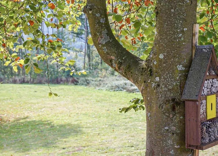 8 In Hébergement de vacances