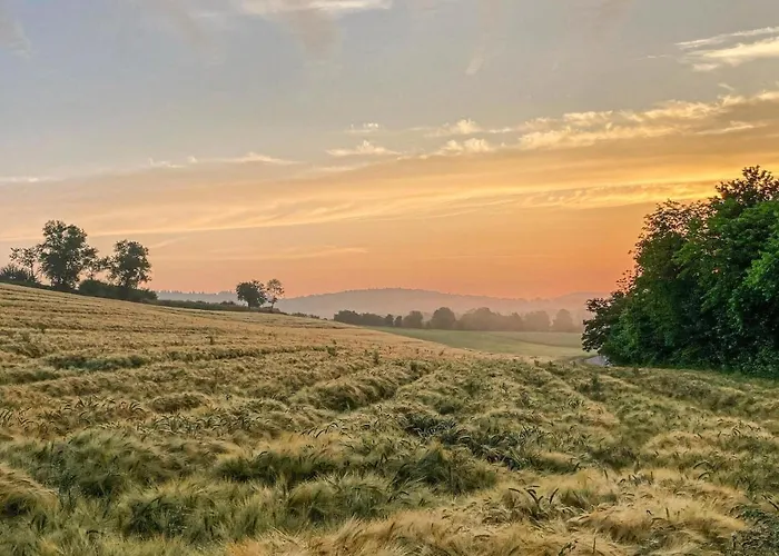 8 In Kirchheim (Hessen)